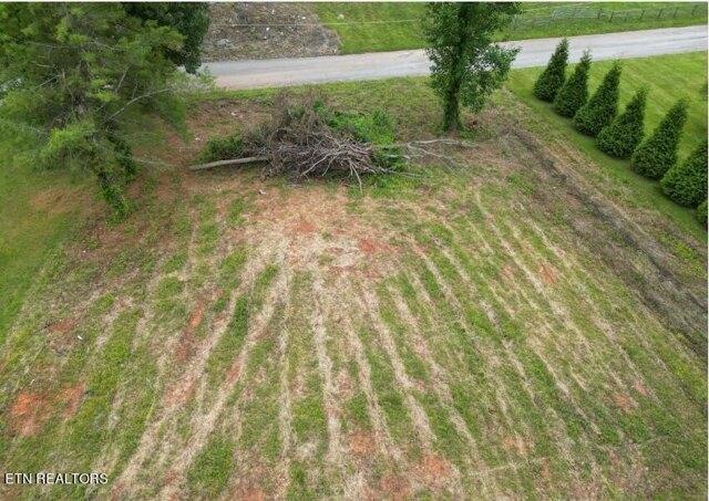 Plot For Sale In New Tazewell, Tennessee