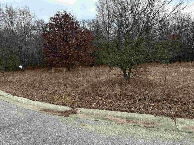 Plot For Sale In Middlebury, Indiana