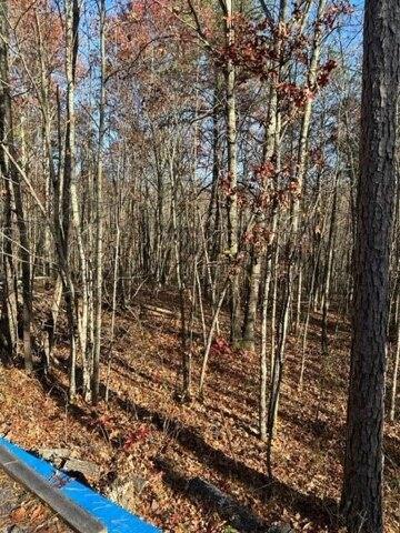 Plot For Sale In Wilder, Tennessee