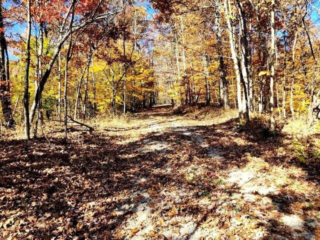 Plot For Sale In Chandlersville, Ohio