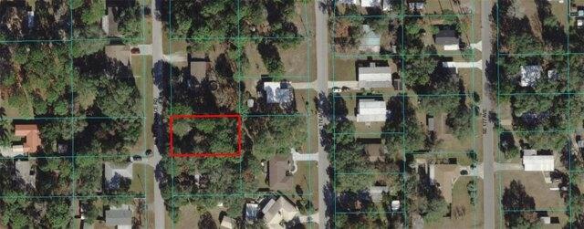 Plot For Sale In Silver Springs, Florida