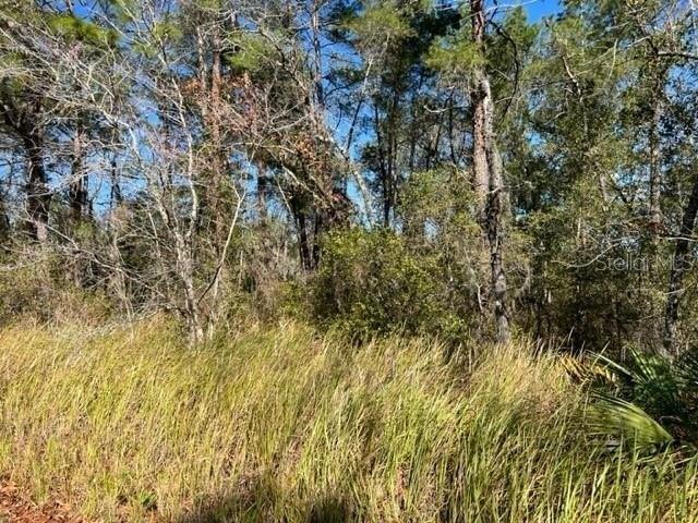 Plot For Sale In Morriston, Florida