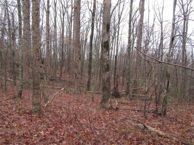 Plot For Sale In Crawford, Tennessee