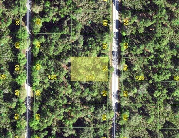 Plot For Sale In Port Charlotte, Florida