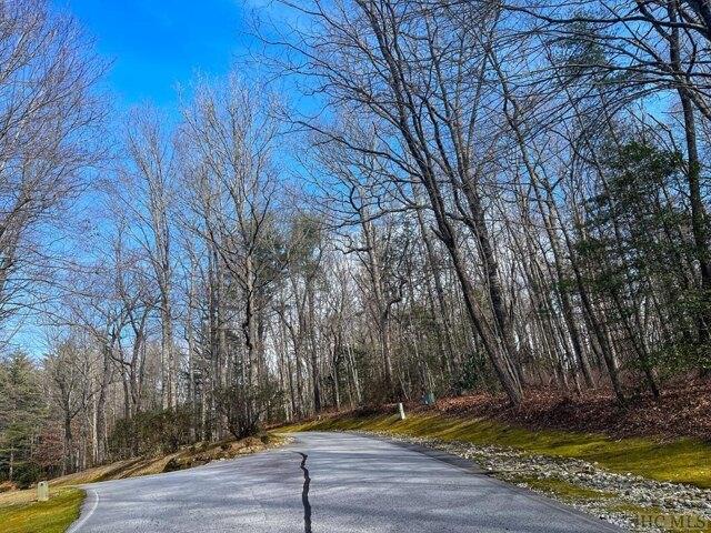 Plot For Sale In Sapphire, North Carolina