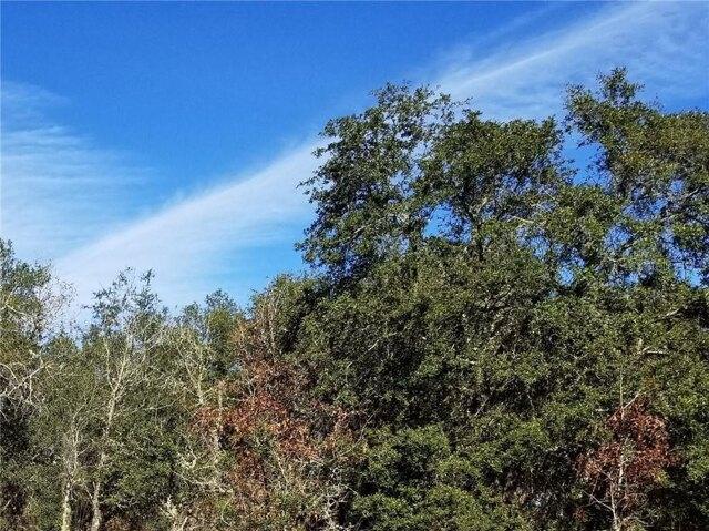 Plot For Sale In Citrus Springs, Florida