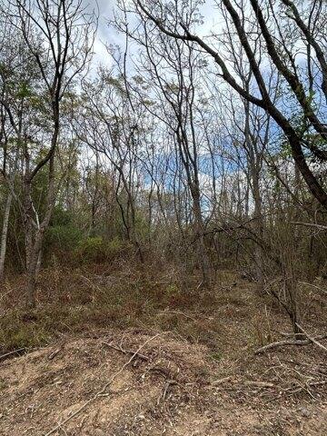 Plot For Sale In Prentiss, Mississippi