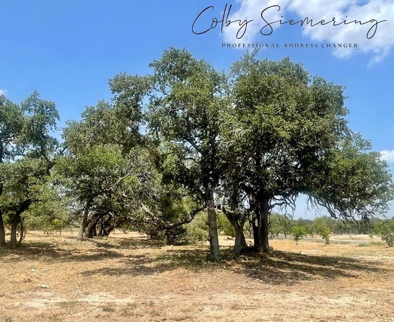 0 Spring Preserve Trl, Bee Cave, TX 78738 for Sale