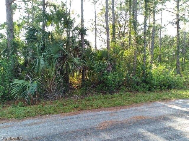 Plot For Sale In Lehigh Acres, Florida