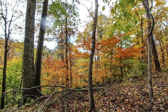 Plot For Sale In Quaker City, Ohio