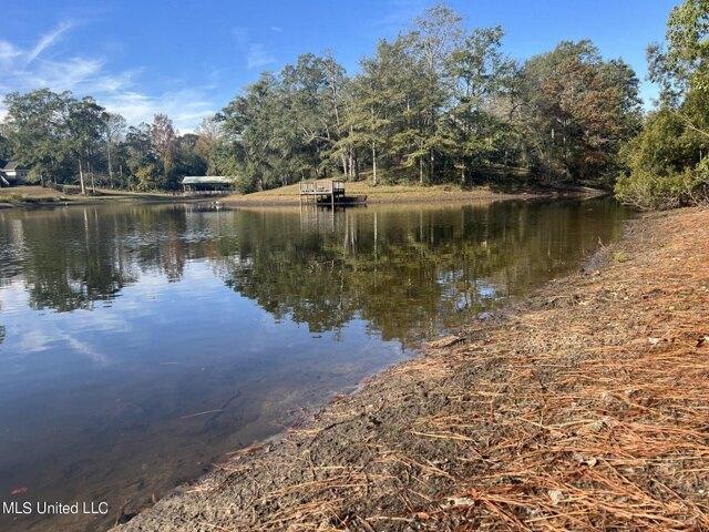 Plot For Sale In Carriere, Mississippi