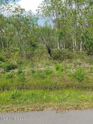 Plot For Sale In Bay Saint Louis, Mississippi