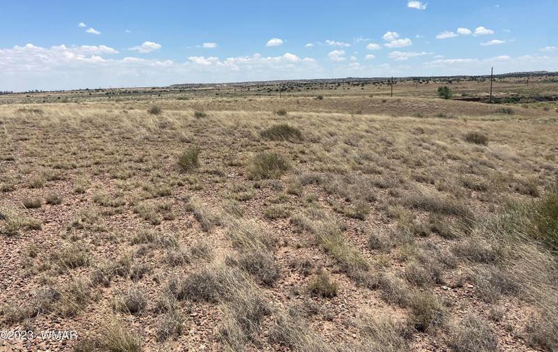 6 County Rd 6031, Saint Johns, AZ 85936 - MLS 247239 for Sale