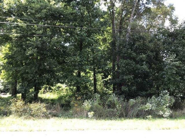 Plot For Sale In Smyrna, Tennessee