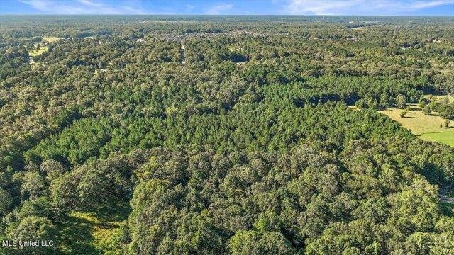 Plot For Sale In Brandon, Mississippi