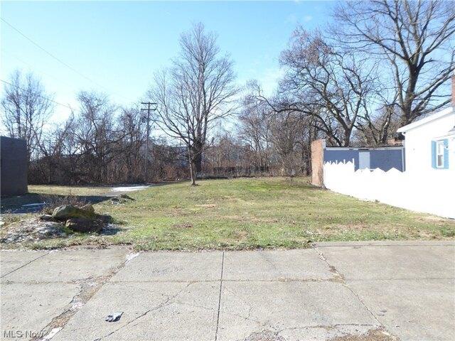 Plot For Sale In Cleveland, Ohio