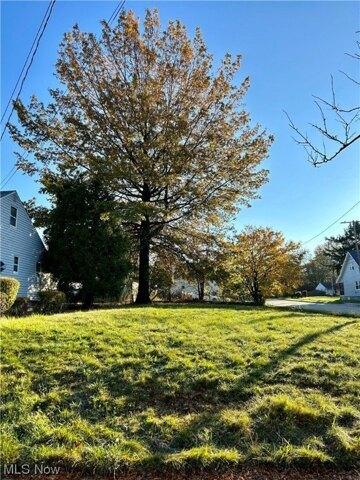 Plot For Sale In Cleveland, Ohio