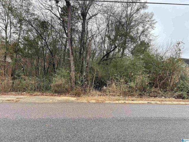 Plot For Sale In Birmingham, Alabama