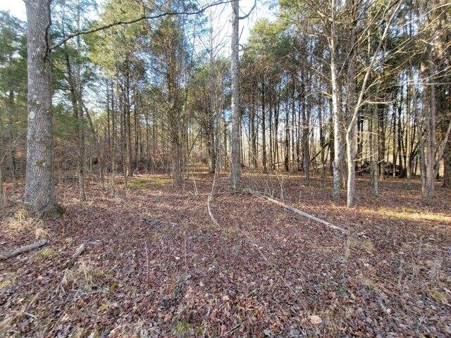 Plot For Sale In Cumberland Furnace, Tennessee