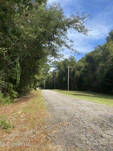 Plot For Sale In Poplarville, Mississippi