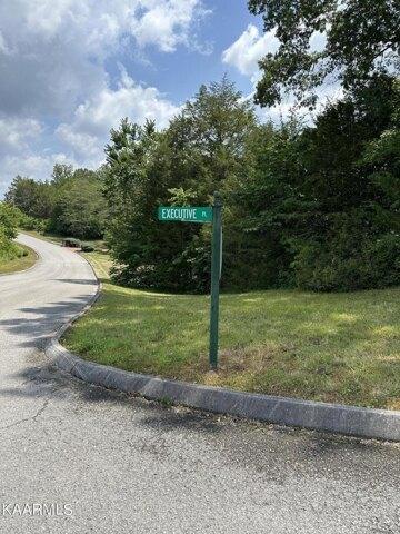 Plot For Sale In Tazewell, Tennessee