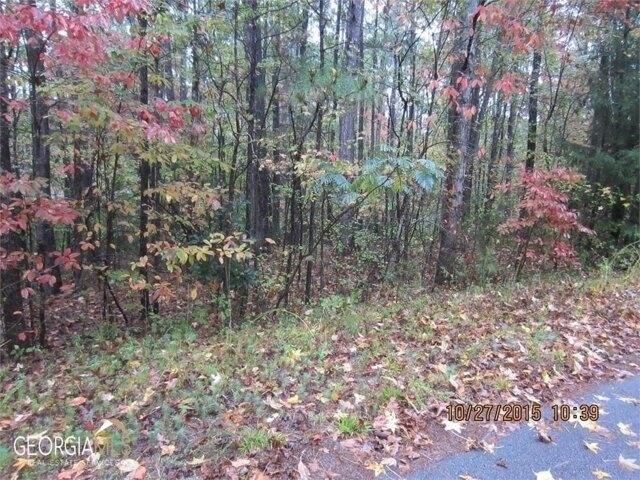 Plot For Sale In Villa Rica, Georgia