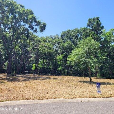 Plot For Sale In Long Beach, Mississippi