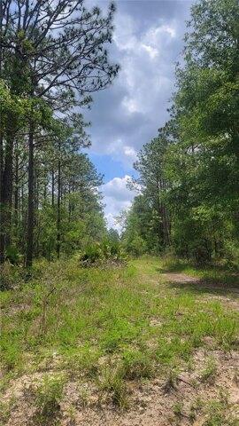 Plot For Sale In Fort Mccoy, Florida
