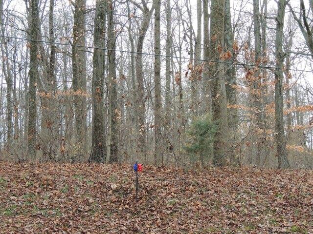 Plot For Sale In Greensburg, Indiana