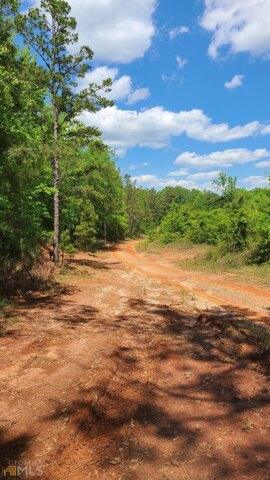 Plot For Sale In Dry Branch, Georgia