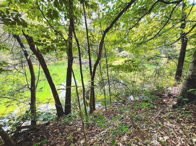Plot For Sale In Morristown, Tennessee