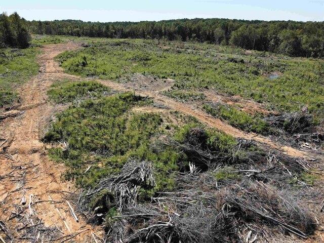 Plot For Sale In Bethel Springs, Tennessee