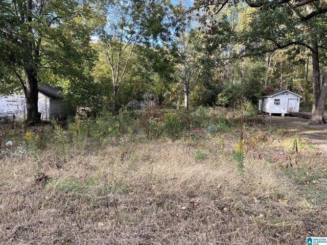 Plot For Sale In Gadsden, Alabama