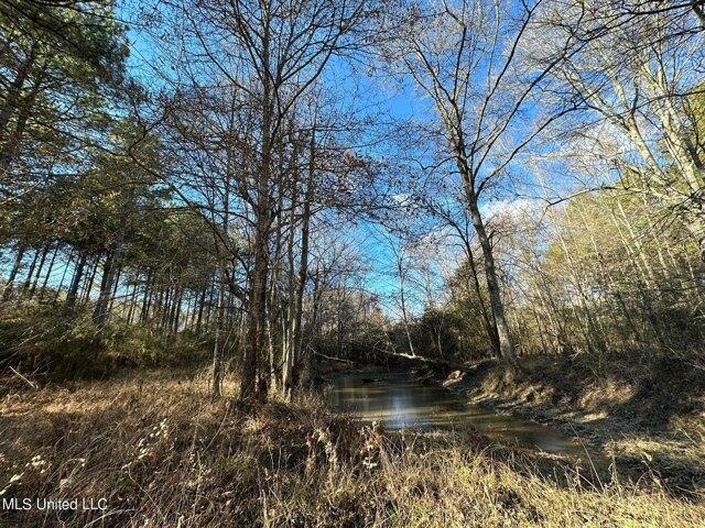 Plot For Sale In Wesson, Mississippi