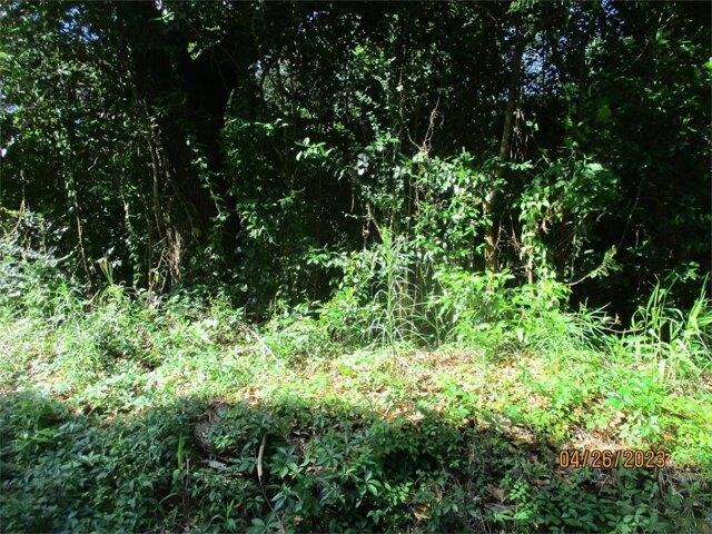 Plot For Sale In Thomasville, Georgia