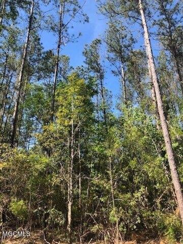Plot For Sale In Vancleave, Mississippi