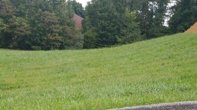 Plot For Sale In Unicoi, Tennessee