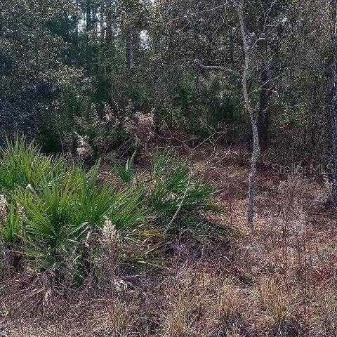Plot For Sale In Weeki Wachee, Florida