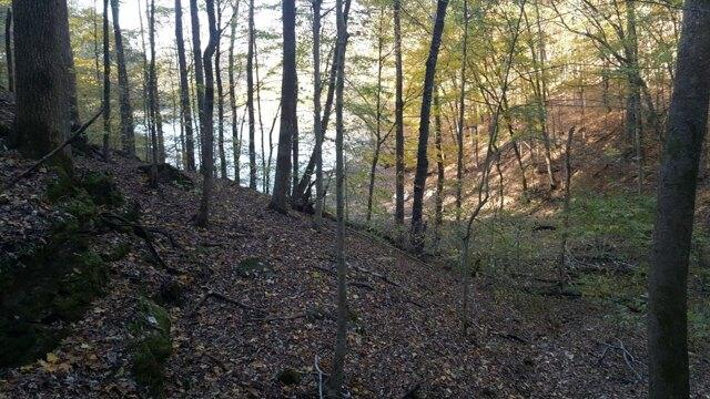 Plot For Sale In Hilham, Tennessee