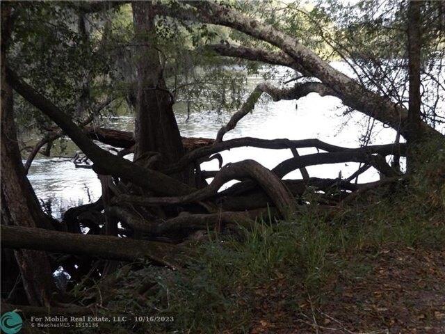 Plot For Sale In Bell, Florida