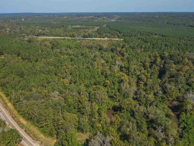 Plot For Sale In Mize, Mississippi