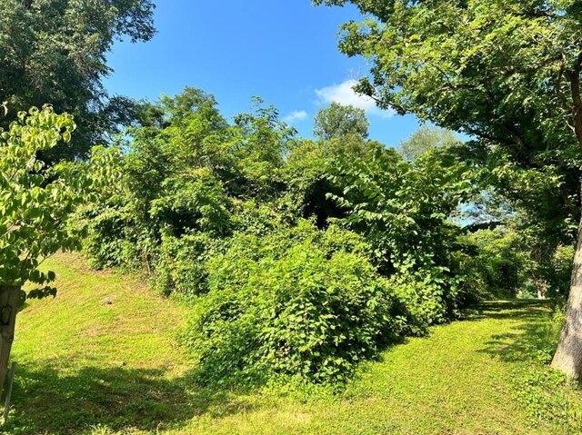 Plot For Sale In Pikeville, Kentucky