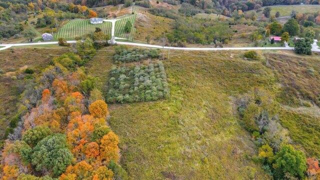 Plot For Sale In Owenton, Kentucky