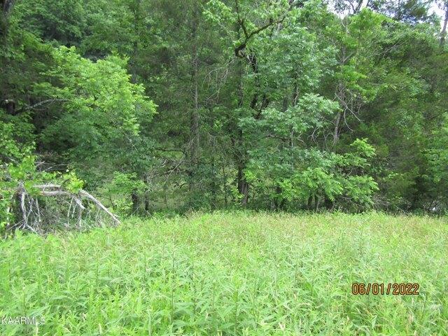 Plot For Sale In Tazewell, Tennessee