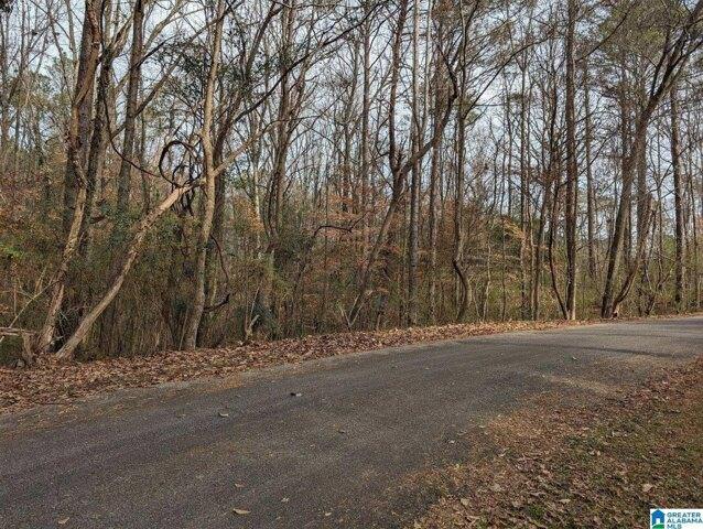 Plot For Sale In Adamsville, Alabama