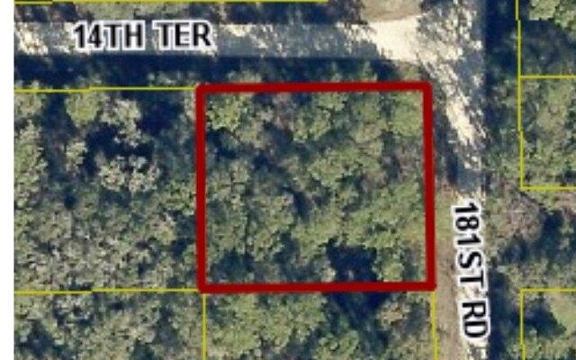Plot For Sale In Live Oak, Florida