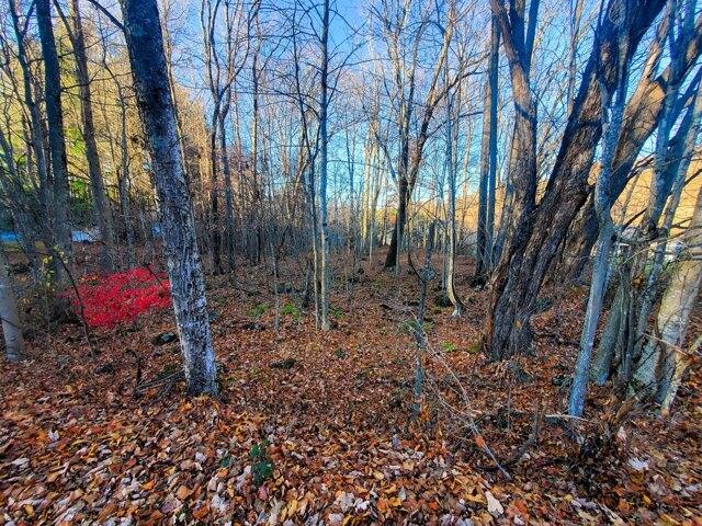 Plot For Sale In Roan Mountain, Tennessee