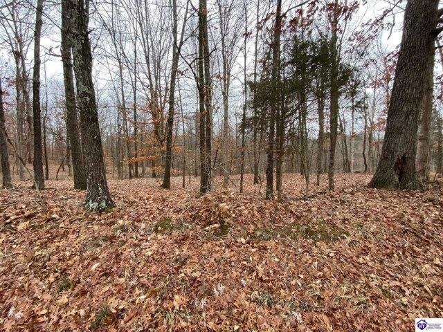 Plot For Sale In Brandenburg, Kentucky