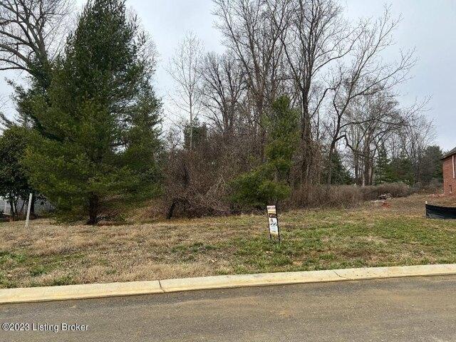 Plot For Sale In Prospect, Kentucky