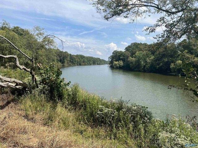 Plot For Sale In Gadsden, Alabama